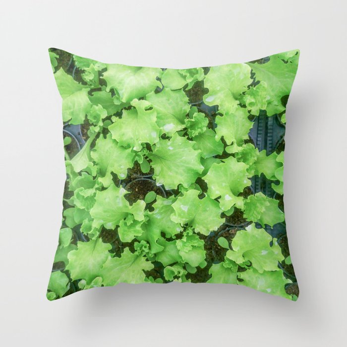 Lettuce Hydroponic farm, Lettuce Sprouts, Green Young Lettuce Plants Throw Pillow