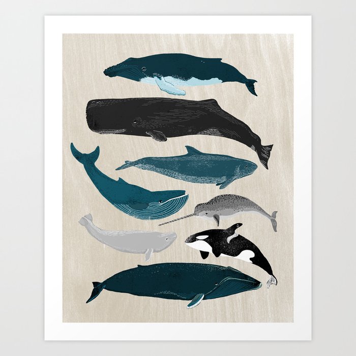 Whales - Pod of Whales Print by Andrea Lauren Art Print