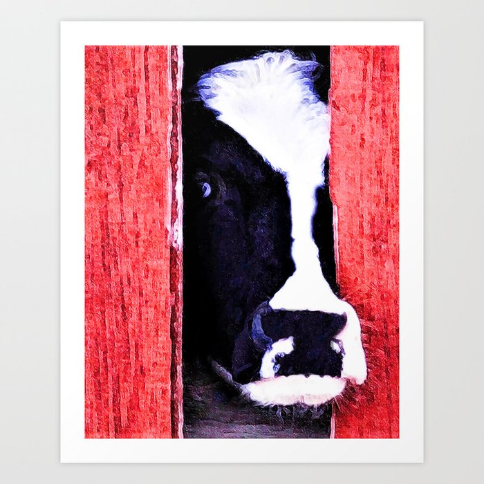 Black And White Cow Peeking Thru The Red Barn Door Art Print By