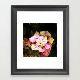 flower2 Framed Art Print
