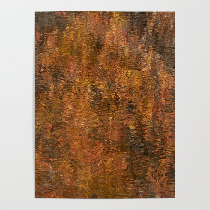 Fall Color Reflections  Poster