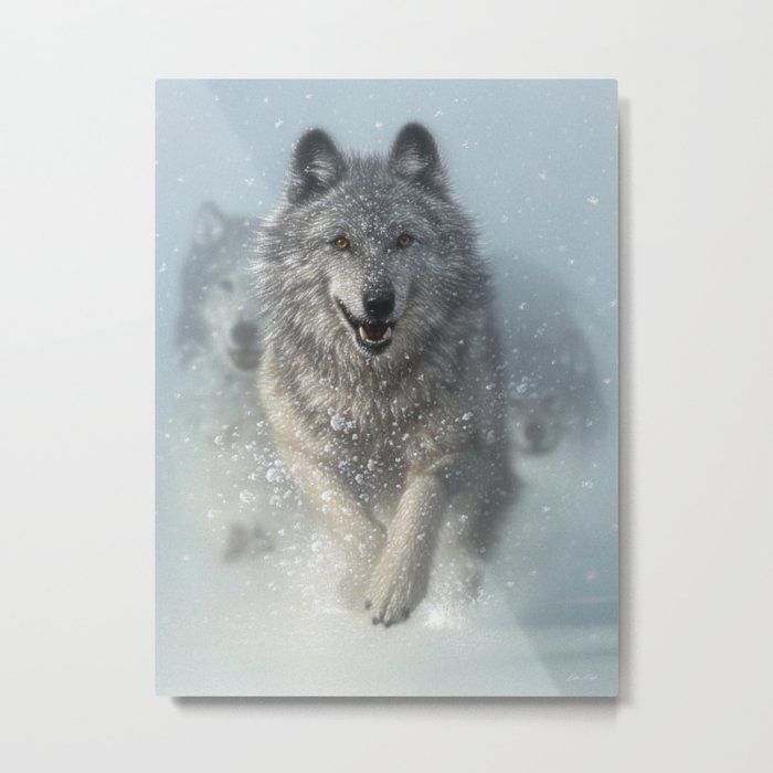 Wolf Pack Running - Snow Plow Metal Print