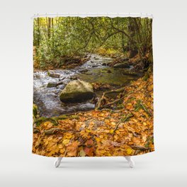 Autumn Landscape Shower Curtain
