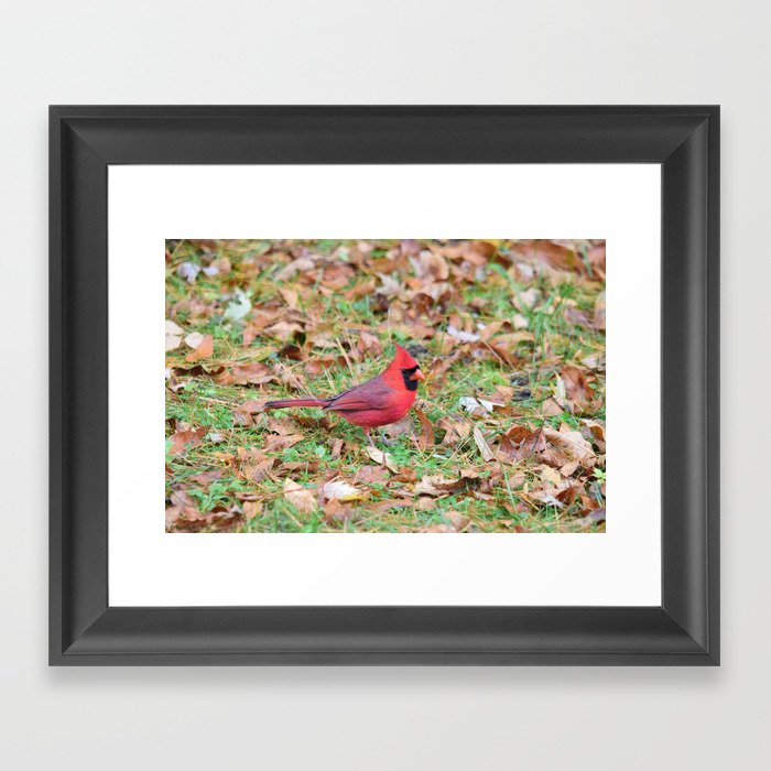 Autumn Leaves Cardinal Framed Art Print
