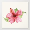 Tropical Pink Hibiscus Flower Leinwanddruck