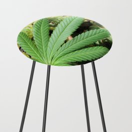 Succulent Sativa Counter Stool