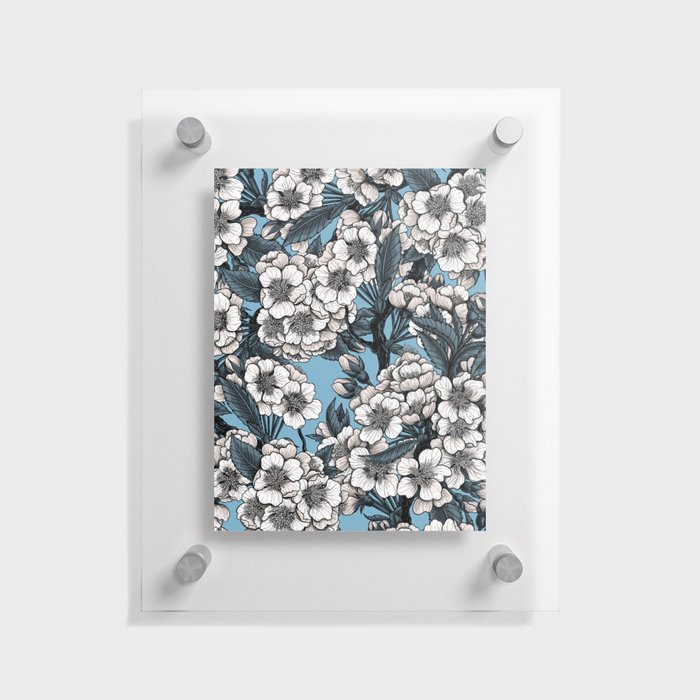 Cherry blossom in white and blue Floating Acrylic Print