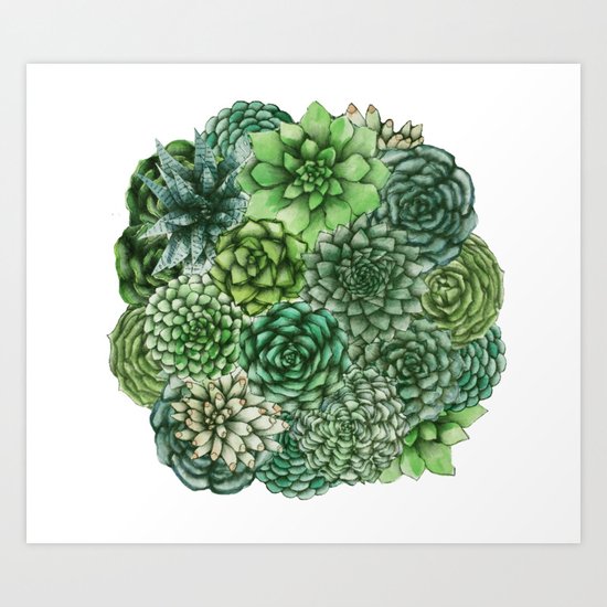 Succulents Art Print