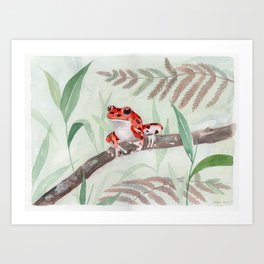 Red Frog Art Print