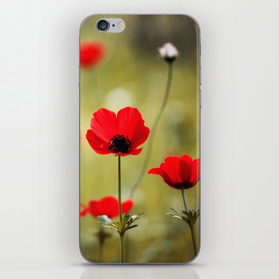 Wild Anemones iPhone & iPod Skin
