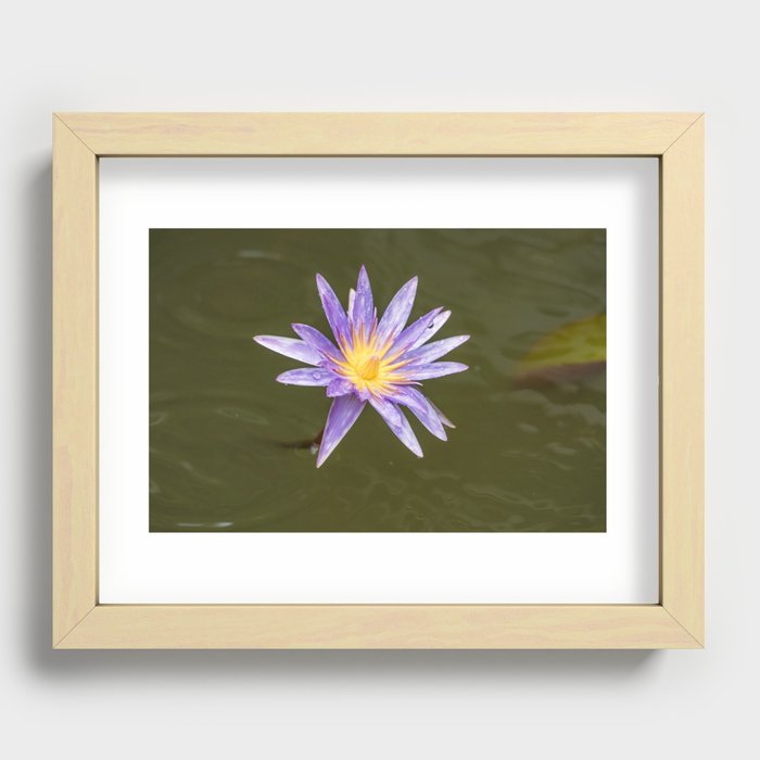 Blue Lotus Recessed Framed Print
