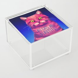 All Cats Are Beautiful Acrylic Box