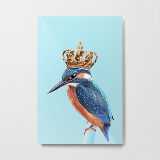KINGFISHER Metal Print