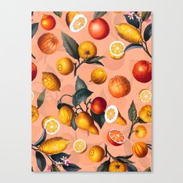 Vintage Fruit Pattern XXV Canvas Print