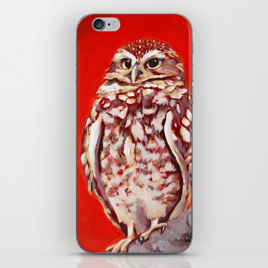 Burrowing Owl iPhone & iPod Skin