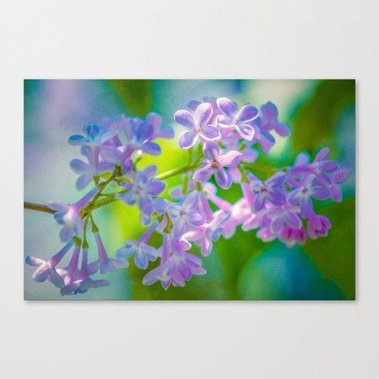 Purple Lilac Flowers Canvas Print