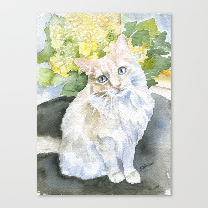 White Cat With Hydrangeas Watercolor Canvas Print By Susanwindsor
