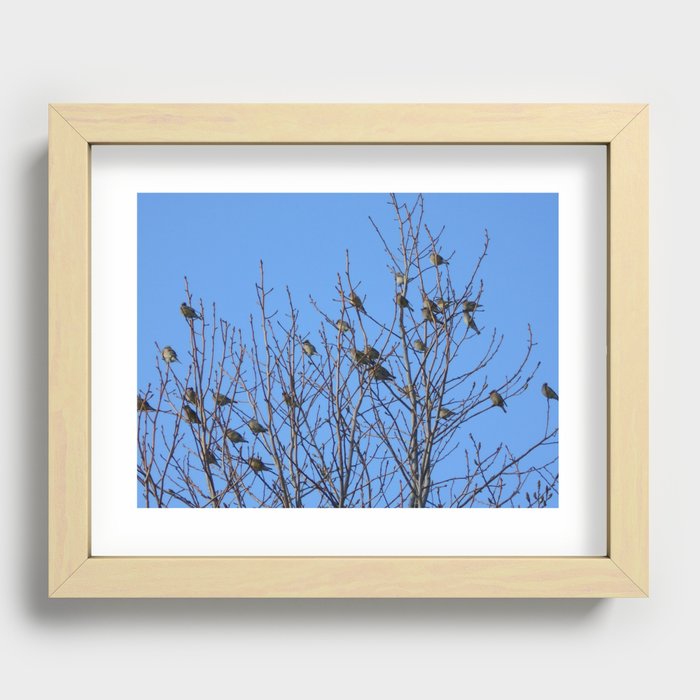 Birds on Trees Recessed Framed Print