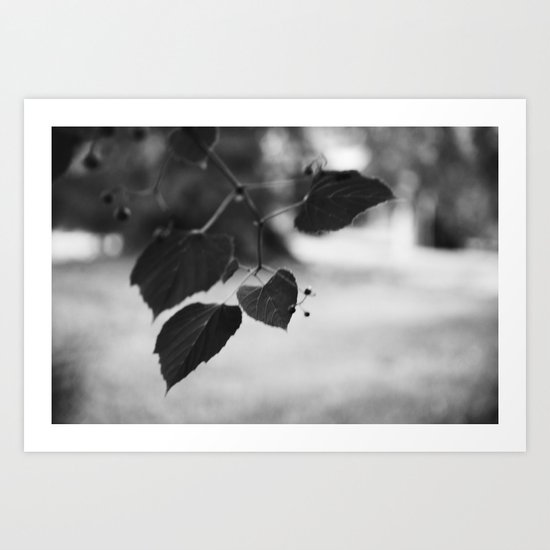 By the Creek Art Print