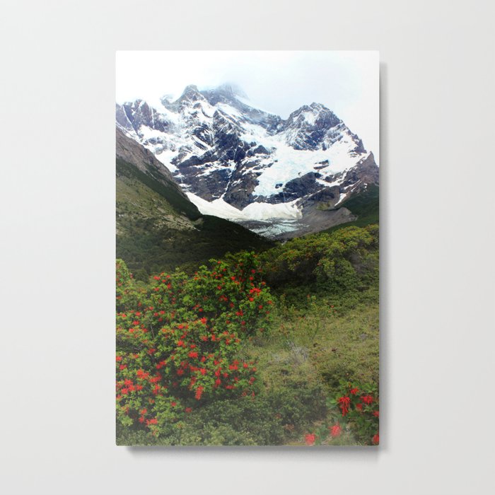 Torres Del Paine, Patagonia Metal Print