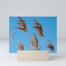 Breezy Reeds Mini Art Print