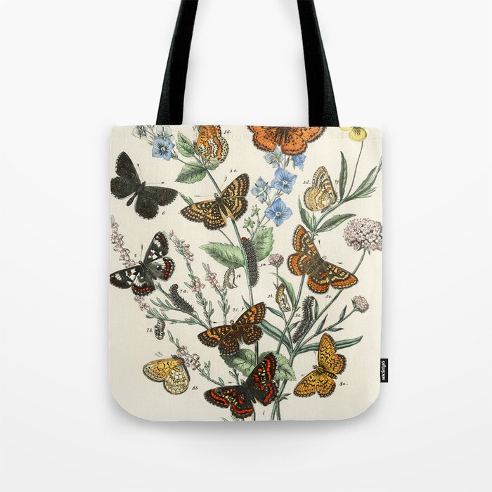 Vintage Butterfly and Moths Illustration by William Forsell Kirby 1883 Tote Bag