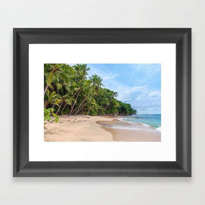 Tropical Beach IV Framed Art Print