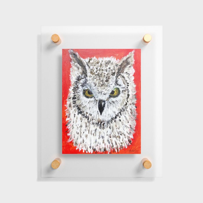 White Owl Animal Floating Acrylic Print