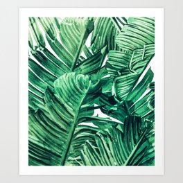Tropical State of Mind | Watercolor Palm Banana Leaves Painting | Botanical Jungle Bohemian Plants Art Print