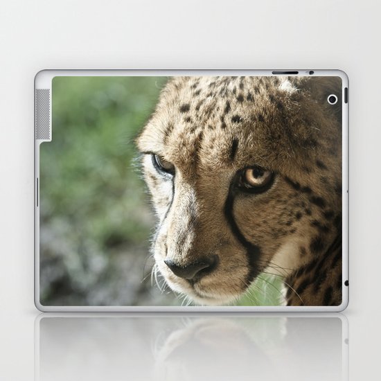 Cheetah Laptop & iPad Skin