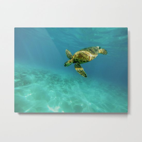 Sea Turtle Metal Print