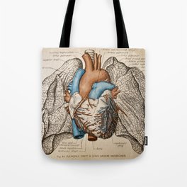 Vintage anatomy illustration Tote Bag