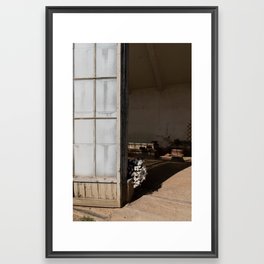 Peek a boo, Boboli Gardens Framed Art Print