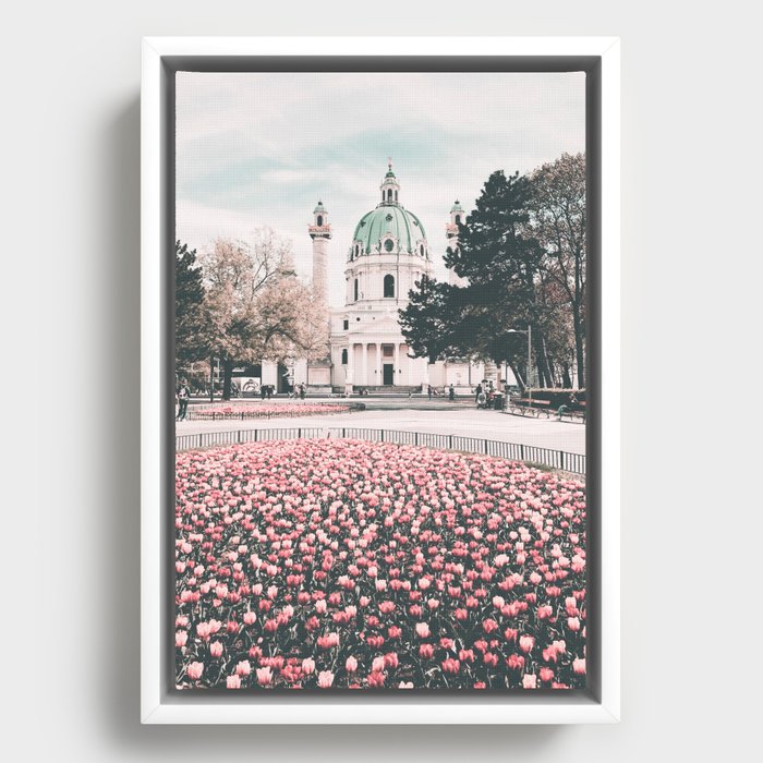 Pink Flowers Vienna Austria Framed Canvas