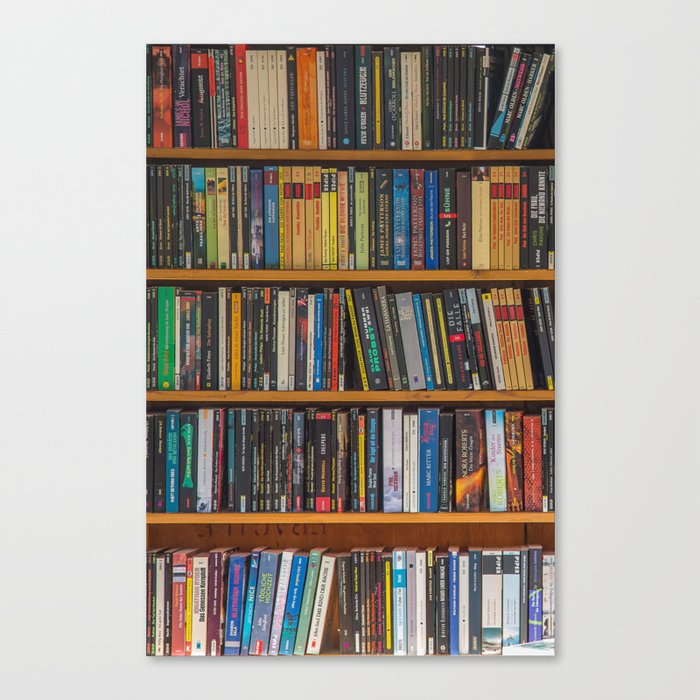 Bookshelf Books Library Bookworm Reading Pattern Canvas Print