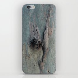 Eucalyptus Tree Bark and Wood Abstract Natural Texture 62 iPhone Skin