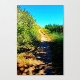 Nature Trail on Whidbey Island Canvas Print