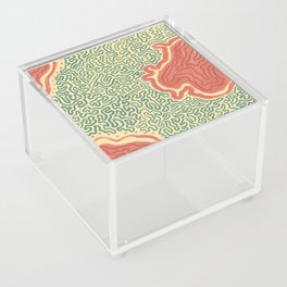 green and red dots and squiggly lines Acrylic Box