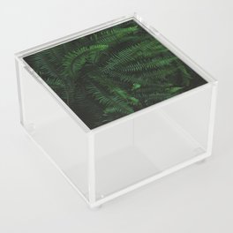 Fern Life Acrylic Box