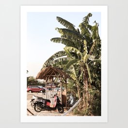 Tropical Plant Leaves In Canggu Bali Photo Art Print | Summer Holiday Travel Photography Art Print