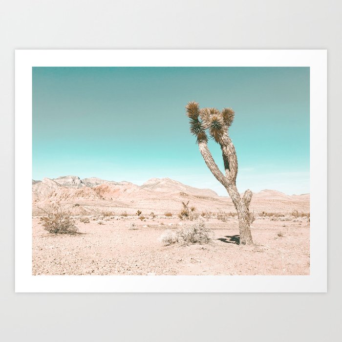 Vintage Desert Scape Cactus Nature Summer Sun Landscape Photography Art Print By Palmtreeprints