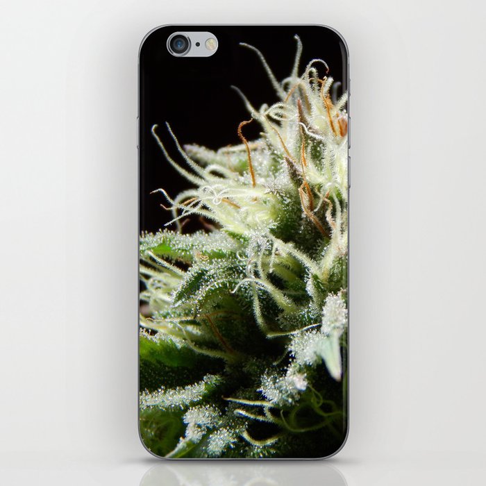 Cannabis Pineapple Chunk iPhone Skin