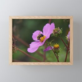 The Bee's Knees Framed Mini Art Print