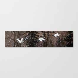 Swan flight Canvas Print