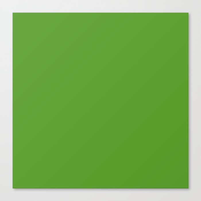 Pond Algae Green Canvas Print