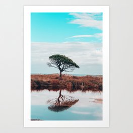 Tree reflection in water | Sardinia | Italy | Nature Art Print