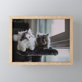 Two kitties Framed Mini Art Print