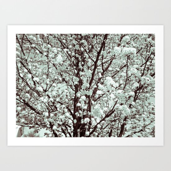 Winter Petals Art Print