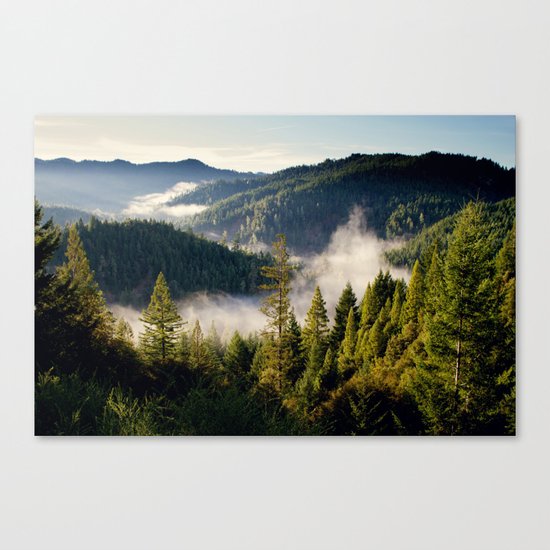 Adventures Canvas Print