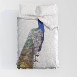 Bird Of Juno Comforter